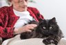 Миниатюра новости: Ученые предупреждают: почему людям старше 60 лет нужно быть осторожнее с кошками