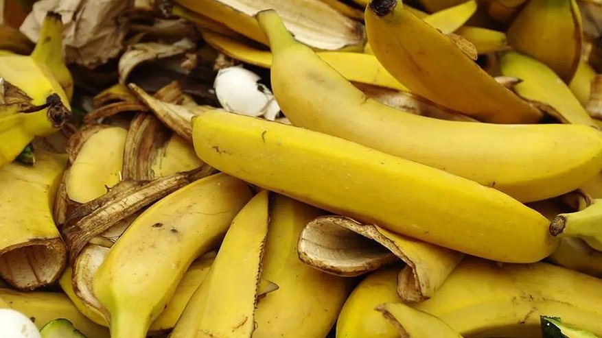 Главная картинка новости: Банановая кожура вместо химии: 5 неожиданных способов применения на кухне, в саду и для красоты