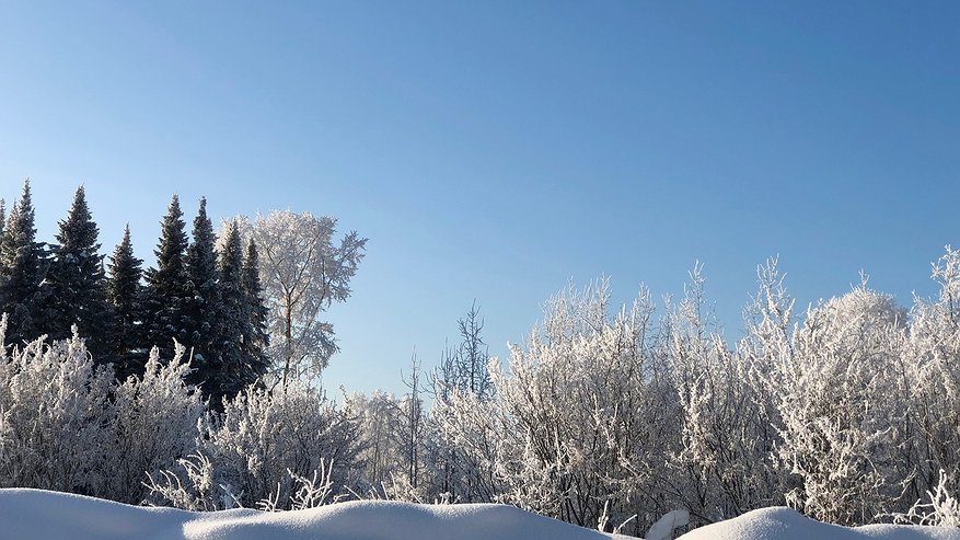 Главная картинка новости: Рекордные новогодние каникулы: россияне будут отдыхать 12 дней подряд в 2026 году