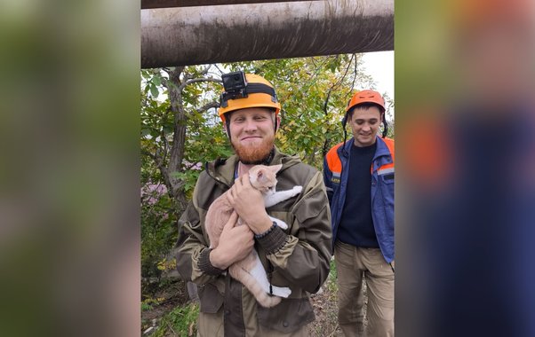 «Понедельник начался с чуда»: спасатели Новороссийска помогли вернуть хозяйке котёнка