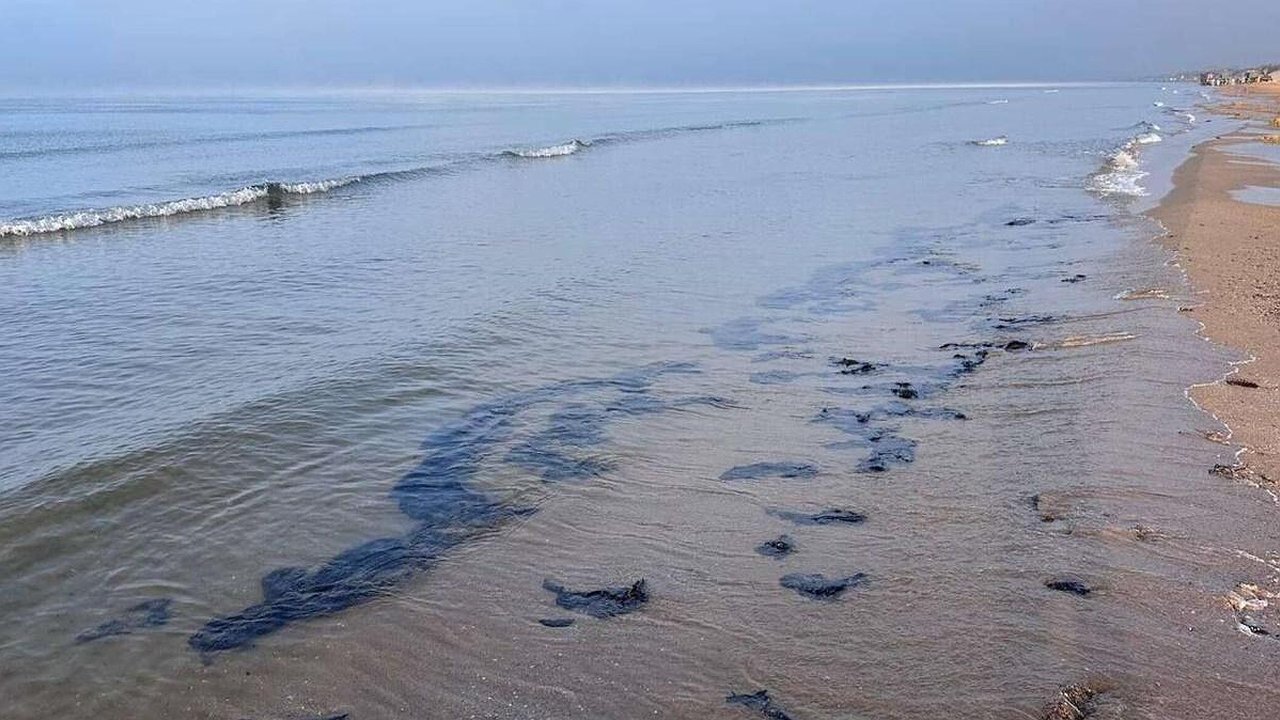 Главная картинка новости: На ликвидацию разливов нефти в черноморских портах выделили 15 миллионов рублей