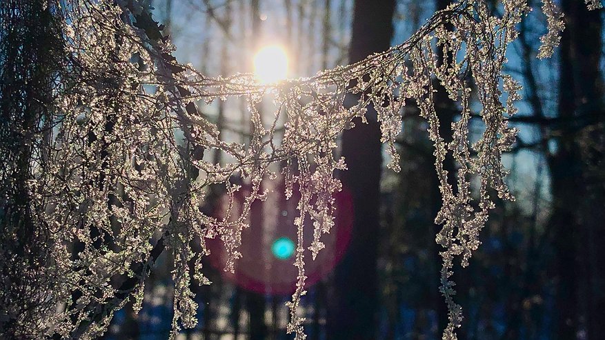 Главная картинка новости: Аномальная зима 2025-2026 в России: какие рекорды прогнозируют синоптики и как подготовиться