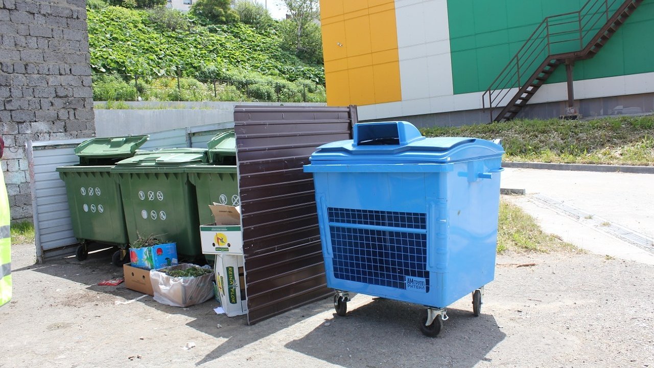 Главная картинка новости: Двухпоточная система сбора мусора стартует на Кубани: какие города перейдут на раздельные отходы с 16 ноября