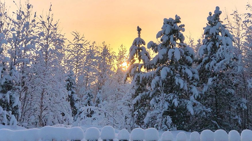 Главная картинка новости: Праздничные выходные переносят из-за ситуации в стране: январские каникулы 2025-2026 годов больше не будут такими, как раньше
