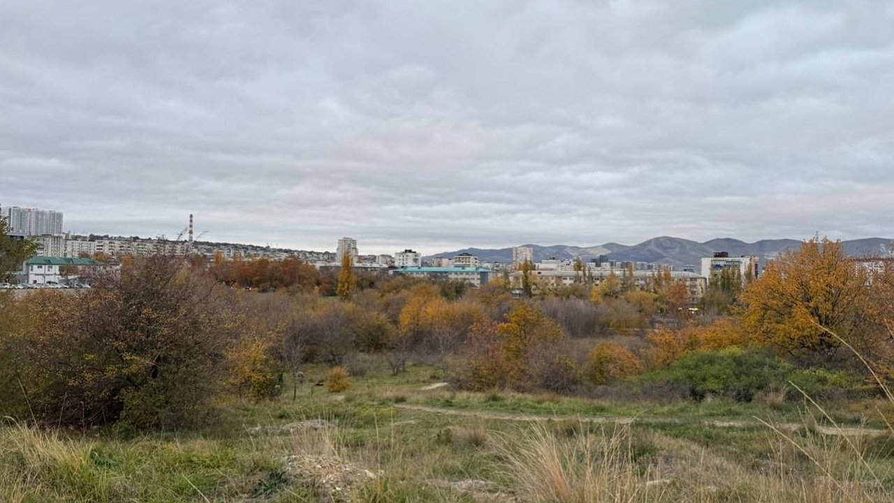 Главная картинка новости: Куда обращаться и какая положена помощь пострадавшим от атаки БПЛА в Новороссийске в 2025 году: полная инструкция от властей