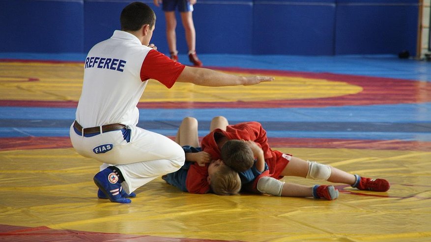 Главная картинка новости: Более 700 тысяч детей на Кубани осваивают самбо в рамках всероссийского проекта
