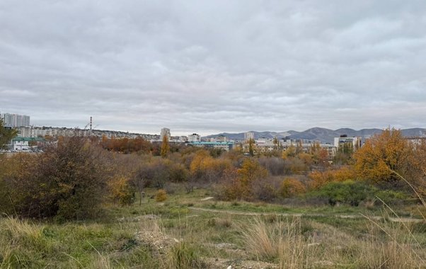 20 участков на 3800 семей: в Новороссийске многодетные годами ждут землю на фоне острого дефицита