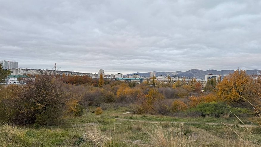 Главная картинка новости: 20 участков на 3800 семей: в Новороссийске многодетные годами ждут землю на фоне острого дефицита