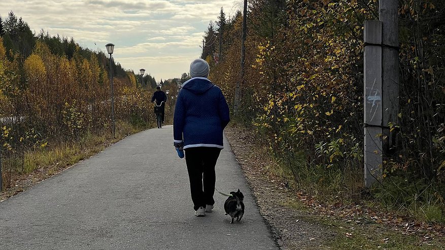 Главная картинка новости: Как перестать быть слугой для всех и начать жить для себя