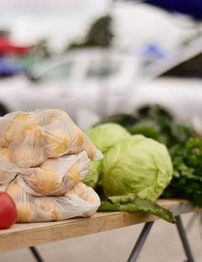 Куда сходить за фермерскими продуктами: адреса краснодарских ярмарок на 22 ноября