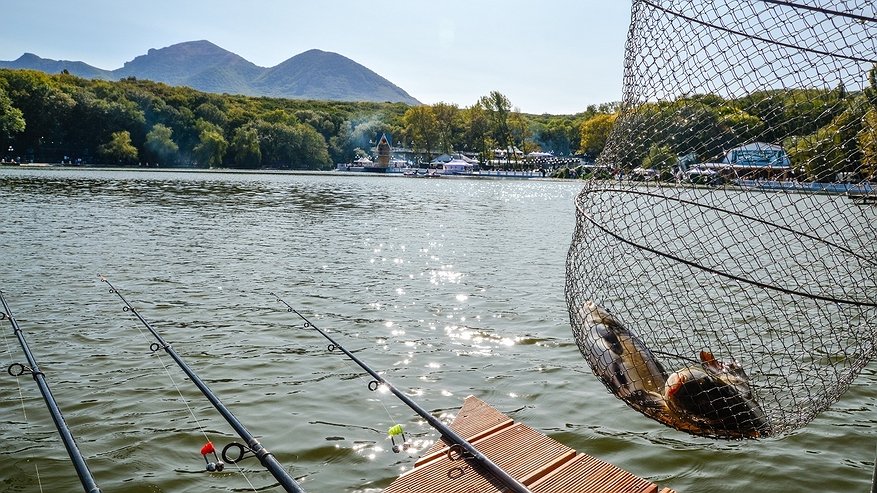 Главная картинка новости: Где порыбачить на Кубани: обзор лучших рыболовных баз и мест