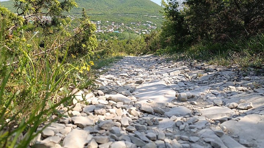 Главная картинка новости: В Новороссийске появилась новая охраняемая природная территория