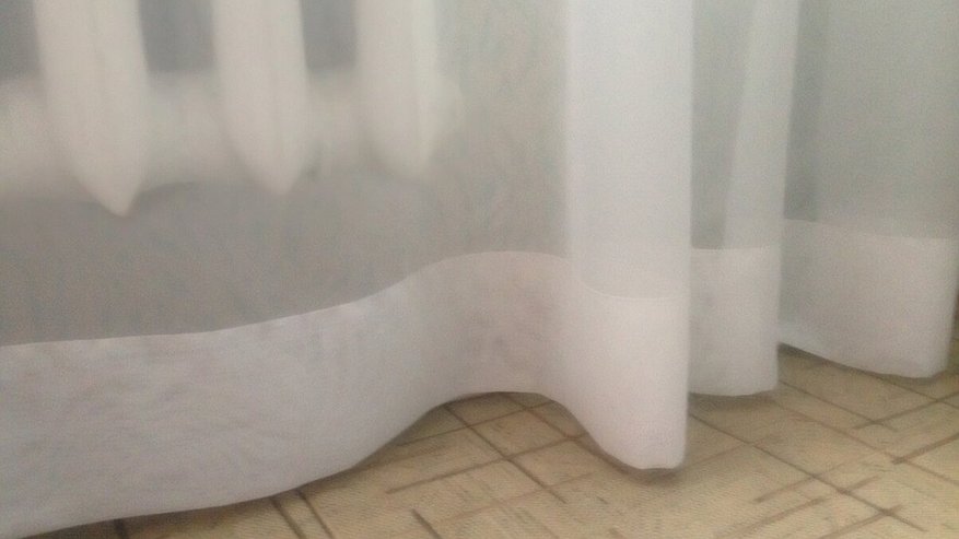 Главная картинка новости: Убираю затяжки на тюле за пять секунд: применяю один простой трюк и экономлю свои нервы