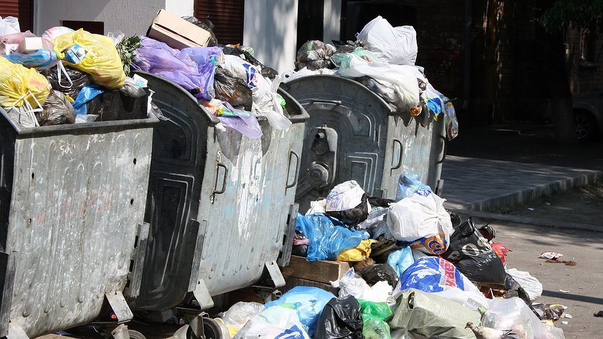 Главная картинка новости: Куда девать мусор, если контейнер полон? В Новороссийске за неправильный ответ уже оштрафовали тысячи людей