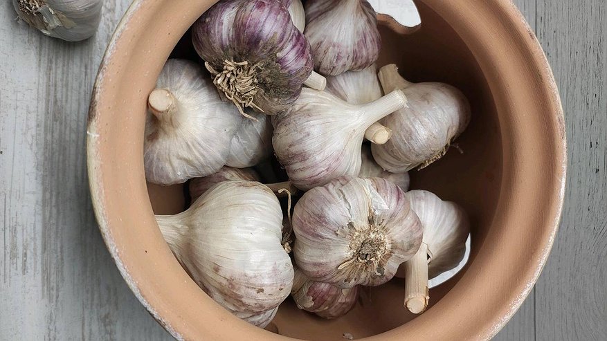 Главная картинка новости: Как правильно хранить лук и чеснок зимой: лучшие способы для квартиры и дома