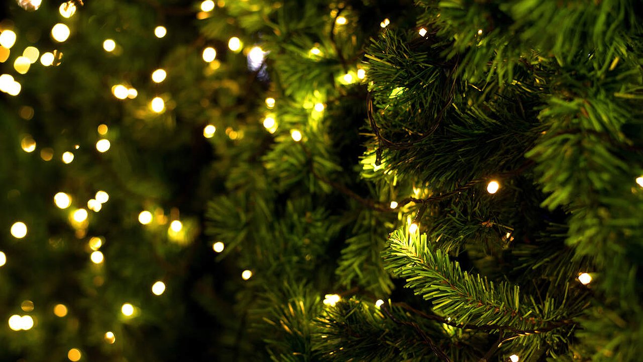 Главная картинка новости: Роскачество предупреждает: 3 опасных сигнала в гирляндах, на которые многие не смотрят. Не украшайте ими ёлку