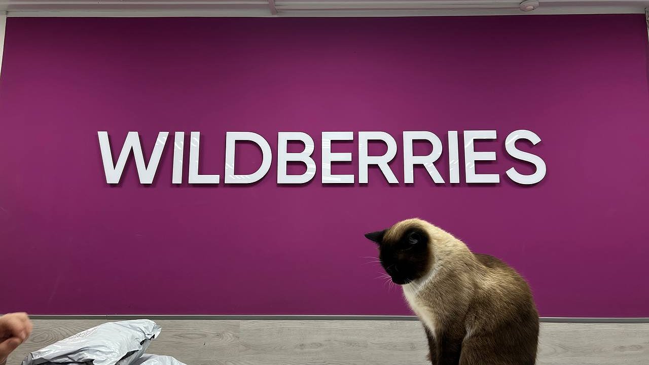 Главная картинка новости: «Мы аннулируем абсолютно все заказы»: Wildberries и Ozon сообщили о новой мере