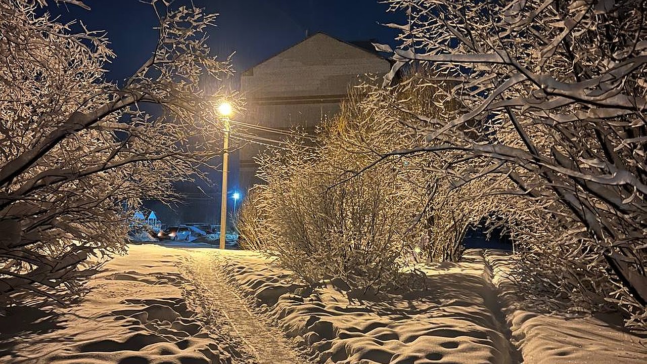 Главная картинка новости: Самая суровая зима за 250 лет: синоптики предупредили об аномальных морозах до –40 и снежных бурях