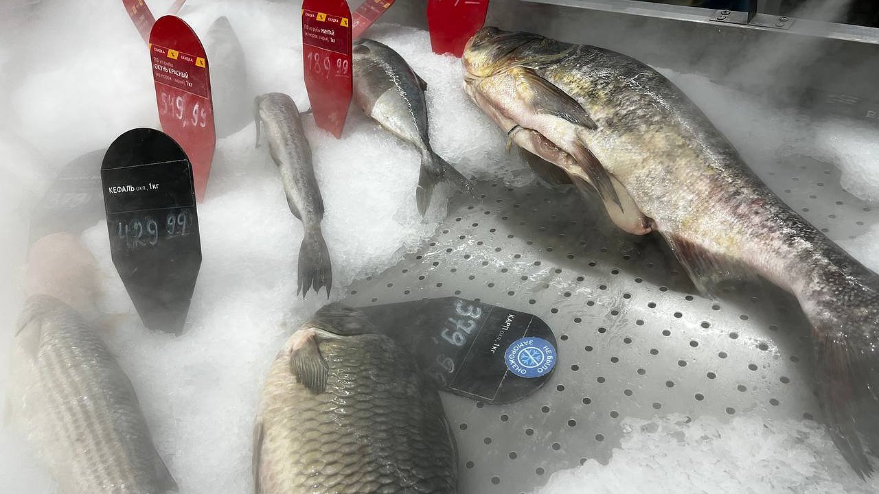 Главная картинка новости: Не тунец и не лосось: ученые назвали самую полезную рыбу — лидер по содержанию омега-3