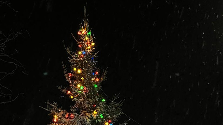 Главная картинка новости: «Вместе мы сделаем Новороссийск сказочным»: мэр Кравченко пригласил горожан на конкурс новогоднего украшения