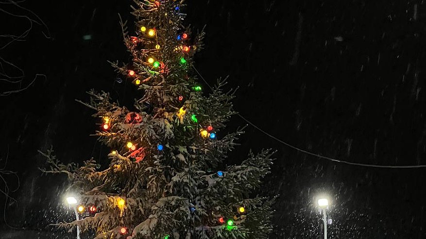 Главная картинка новости: Новогодние каникулы претерпели изменения: январские выходные 2025-2026 не будут прежними – вот почему