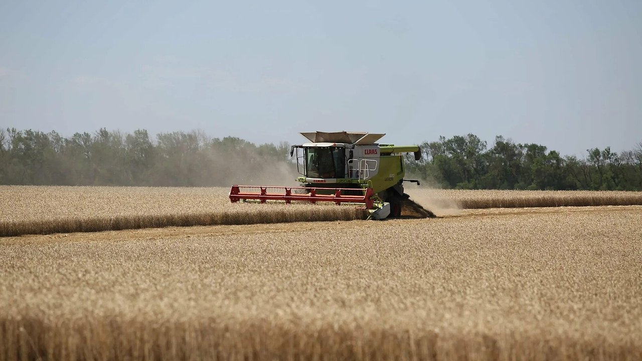 Главная картинка новости: Кубанские аграрии получили рекордные страховые выплаты за погодные потери