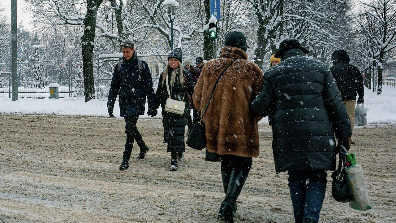 Главная картинка новости: Три жизненных закона от Бехтеревой: зачем отказывать в помощи, если вас не просят