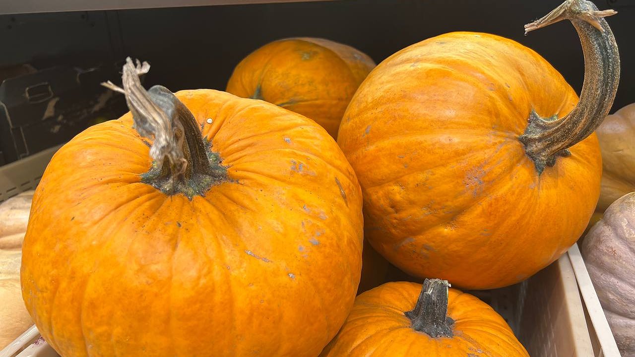 Главная картинка новости: Названы три главные причины, из-за которых урожай фруктов в Краснодарском крае упал на пятую часть