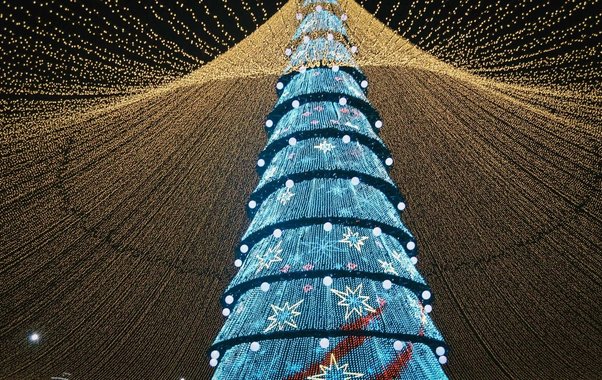 Забудьте про оливье: гениальные идеи для Нового года 2026, о которых вы не догадывались