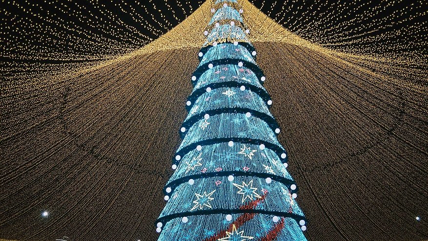 Главная картинка новости: Забудьте про оливье: гениальные идеи для Нового года 2026, о которых вы не догадывались