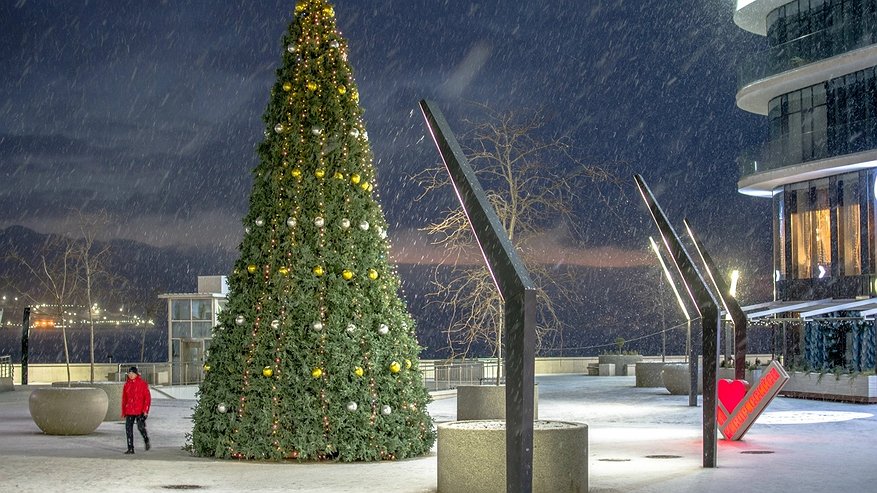 Главная картинка новости: С вечера 6 до утра 7 января: в Новороссийске ограничат движение на набережной и центральных улицах