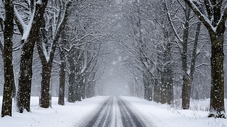 Главная картинка новости: Курорт в осаде стихии: Сочи ликвидирует последствия шторма с упавшими деревьями и снегопадом в горах