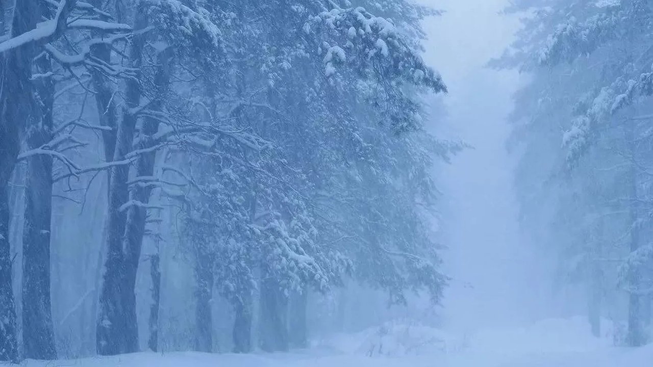 Главная картинка новости: Аномальный январь сносит крышу: Гидрометцентр скорректировал прогноз на 12 января — неожиданности продолжаются