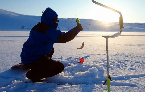 Картошку не ем, а отправляю в лунку: рыба клюёт как сумасшедшая — даже летом такого клёва не было