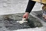 Миниатюра новости: Где в Новороссийске можно окунуться в прорубь на Крещение: открыты шесть площадок