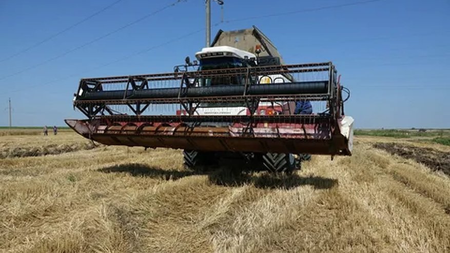 Главная картинка новости: Кубань закладывает новую эру сельского хозяйства: рост на 7,7% и 61 млррд инвестиций к 2026 году