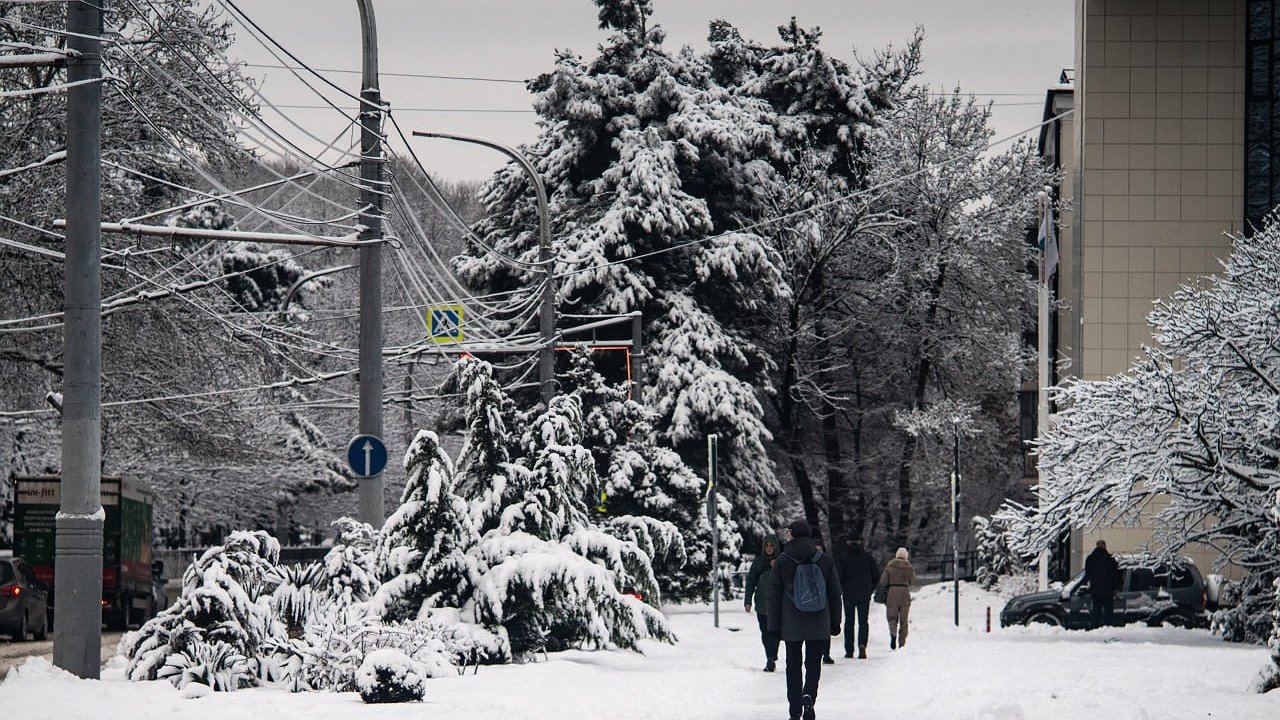 Главная картинка новости: За сутки выпал месячный снег: власти Новороссийска бросили на уборку 90 единиц техники и готовят МЧС