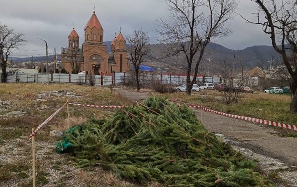 «Один пункт на район!» В Новороссийске началась «ёлкопаника»: за выброс дерева в мусор грозит штраф до 3 тысяч