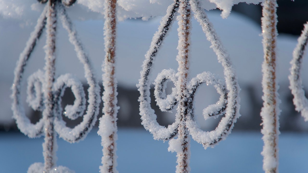 Главная картинка новости: «Февраль станет самым нестабильным в XXI веке». Синоптики сказали, к чему готовиться