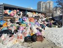 «Мусор не вывозят до весны?»: Новороссийск задыхается от отходов из-за погоды и бездорожья