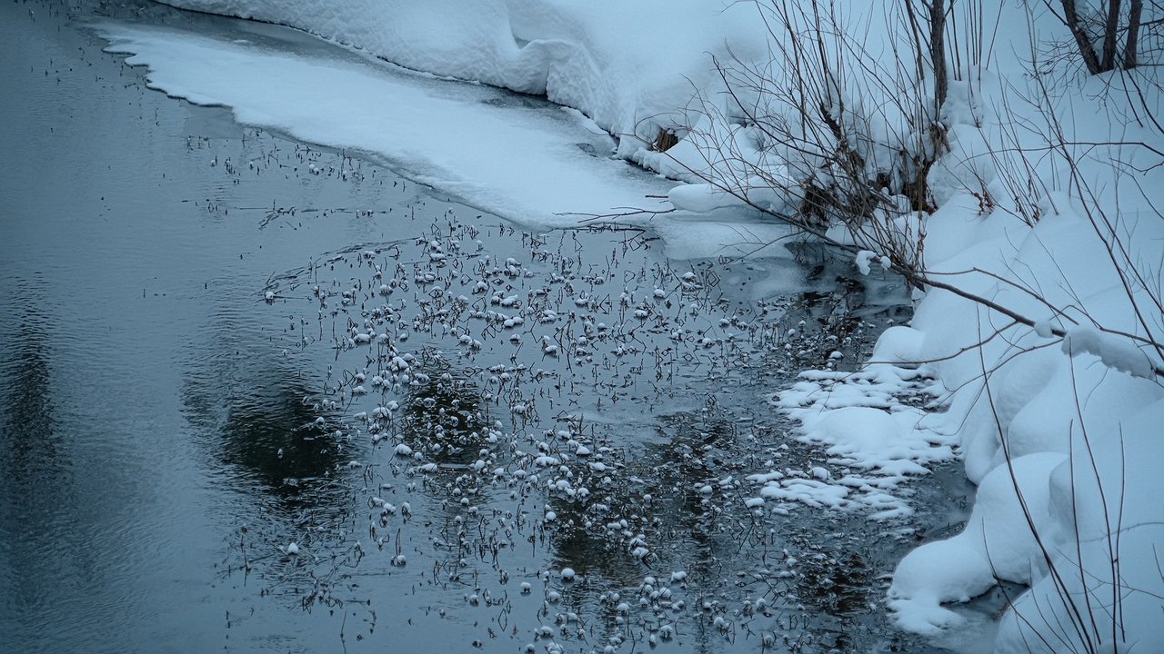 Главная картинка новости: Река Афипс вышла из берегов: в Краснодарском крае объявлена повышенная готовность