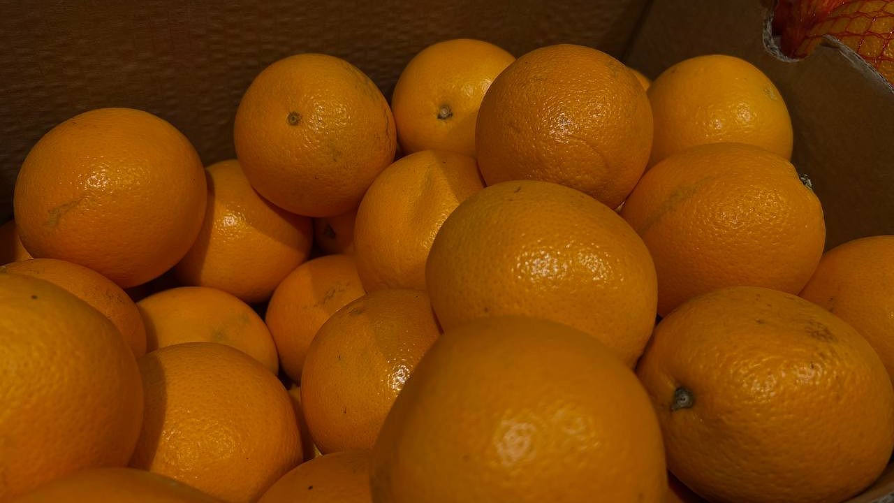 Главная картинка новости: В порту Новороссийска задержано 52 тысячи тонн заражённых цитрусовых из Египта