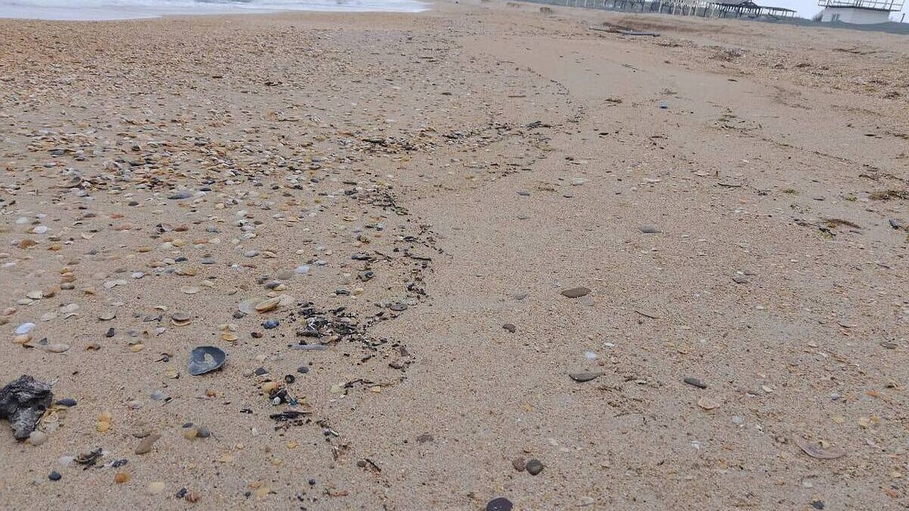 Главная картинка новости: Экологическая сводка Кубани: первую неделю 2026 года Анапа и Темрюкский район встретили без выбросов нефти