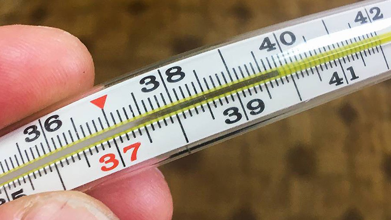 Главная картинка новости: В Сочи назвали виновника отравления детей в отеле: родителям на заметку