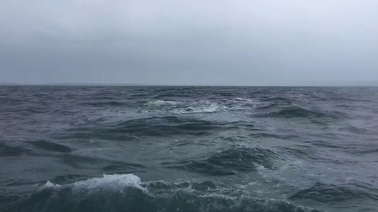 Главная картинка новости: Штормовой ветер и ливни накроют Сочи и Сириус в ближайшие сутки