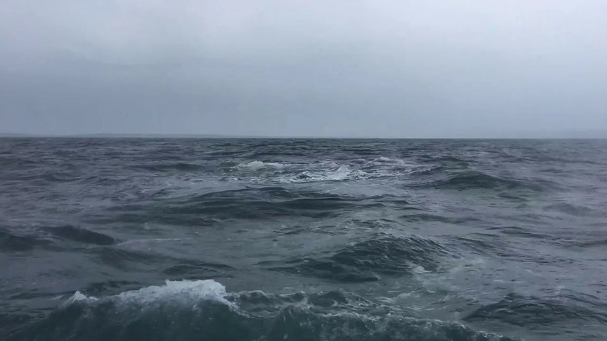 Главная картинка новости: Штормовой ветер и ливни накроют Сочи и Сириус в ближайшие сутки