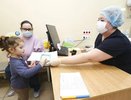 Грипп не пройдёт: на Кубани стартовала масштабная прививочная кампания — вакцины есть во всех муниципалитетах