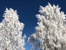 Декабрь и январь станут проверкой на прочность: прогноз, от которого становится не по себе
