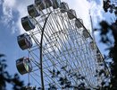 Куда бесплатно сходить в Краснодаре 10 и 11 октября: концерты, игры и развлечения в парках