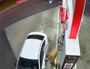 Угнал Hyundai и пошёл на таран: пьяный краснодарец устроил опасную погоню с полицией в Сочи